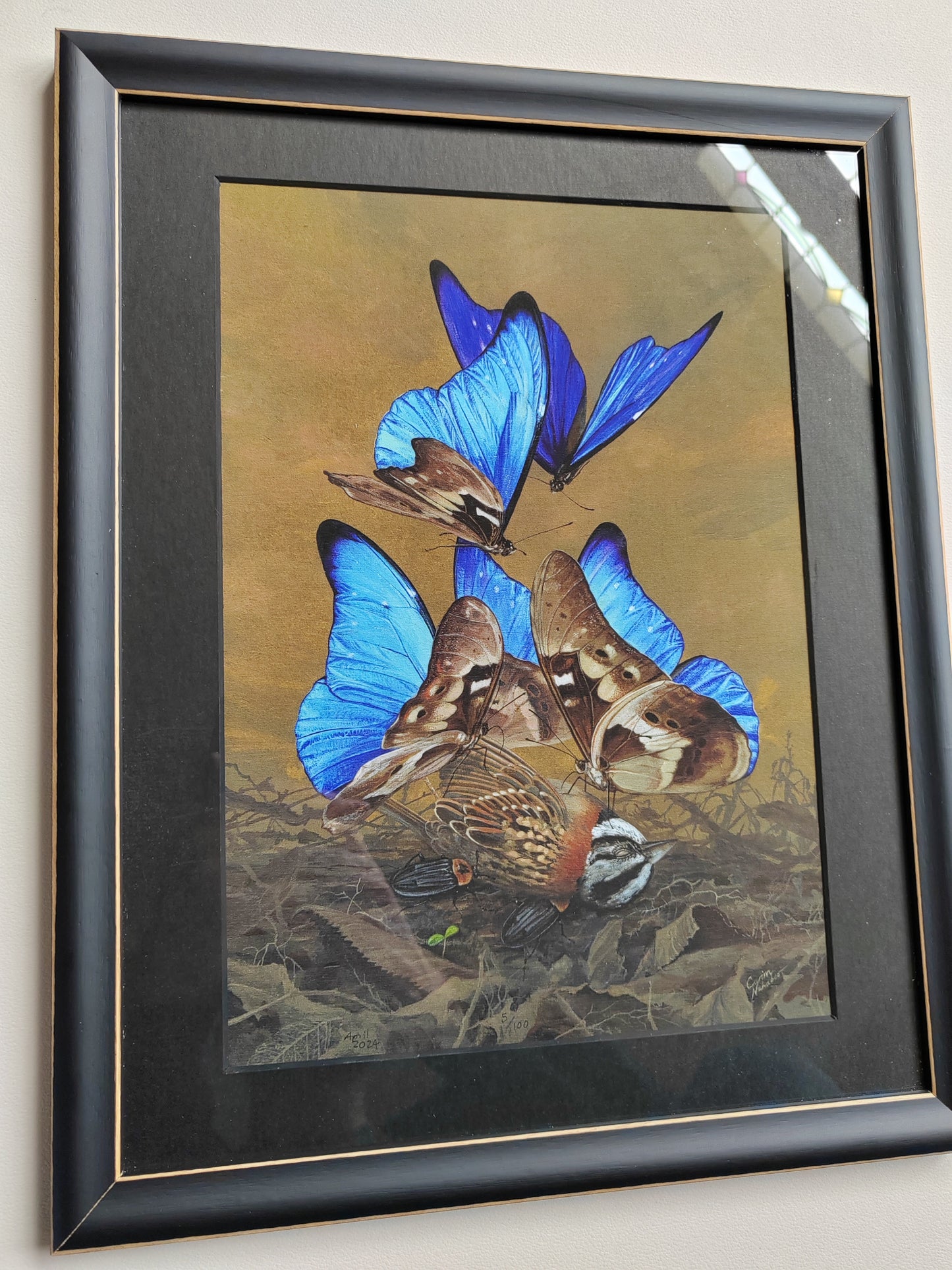 Songbird - framed Limited edition art print