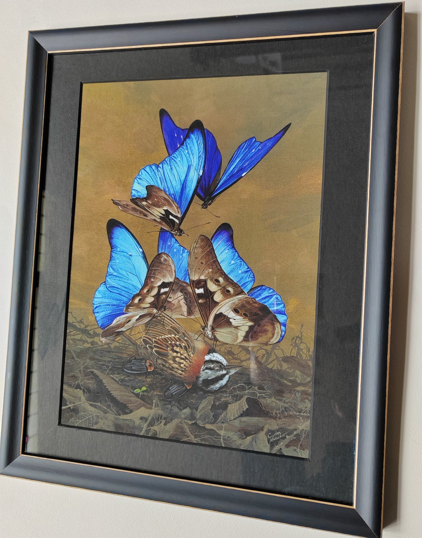 Songbird - framed Limited edition art print