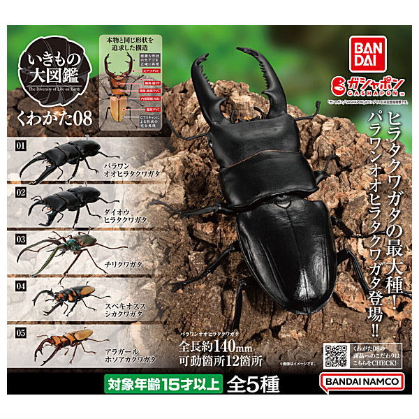 Bandai Stag Beetles - Kuwagata set 08 FULL SET, 5 figures