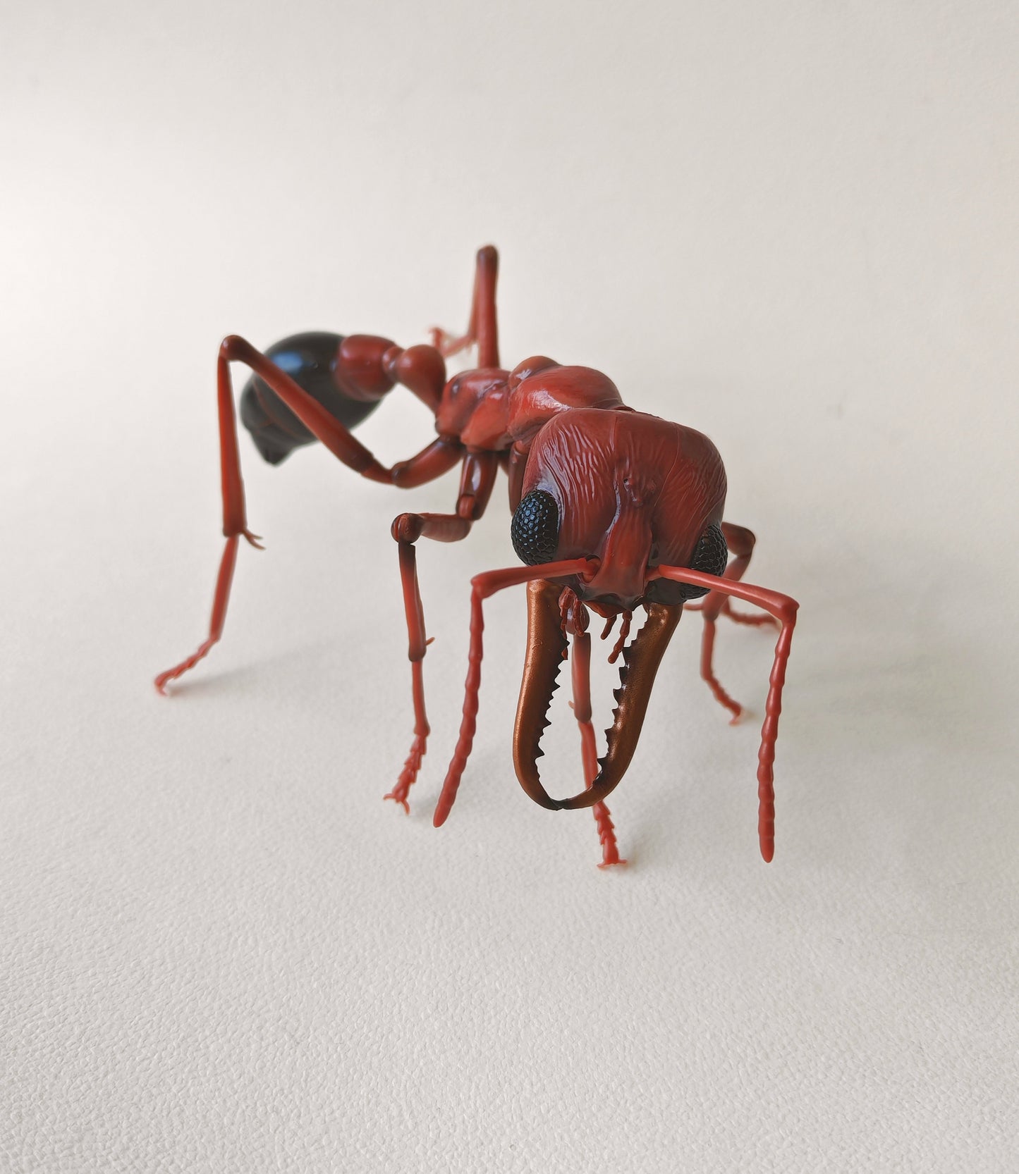 Bullet Ant and Bulldog Ants, Paraponera clavata, Japanese fully posable figure (And other ants!) made by Bandai