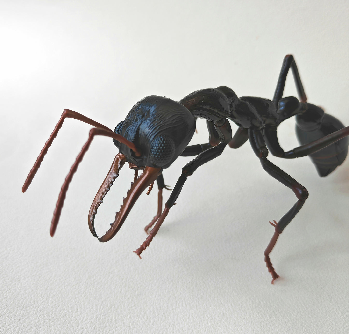 Bullet Ant and Bulldog Ants, Paraponera clavata, Japanese fully posable figure (And other ants!) made by Bandai