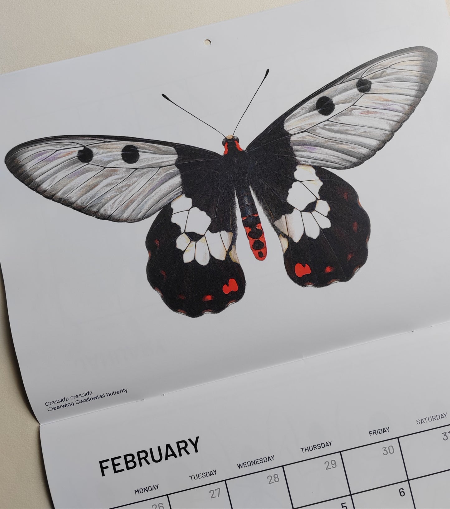 2026 Artwork Calendar