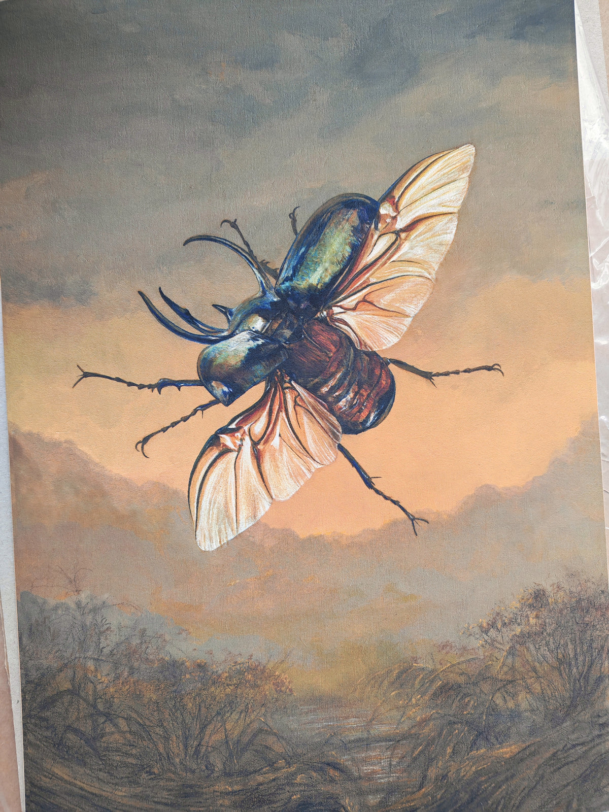 Chalcosoma atlas, Atlas beetle limited edition art print, A3 size