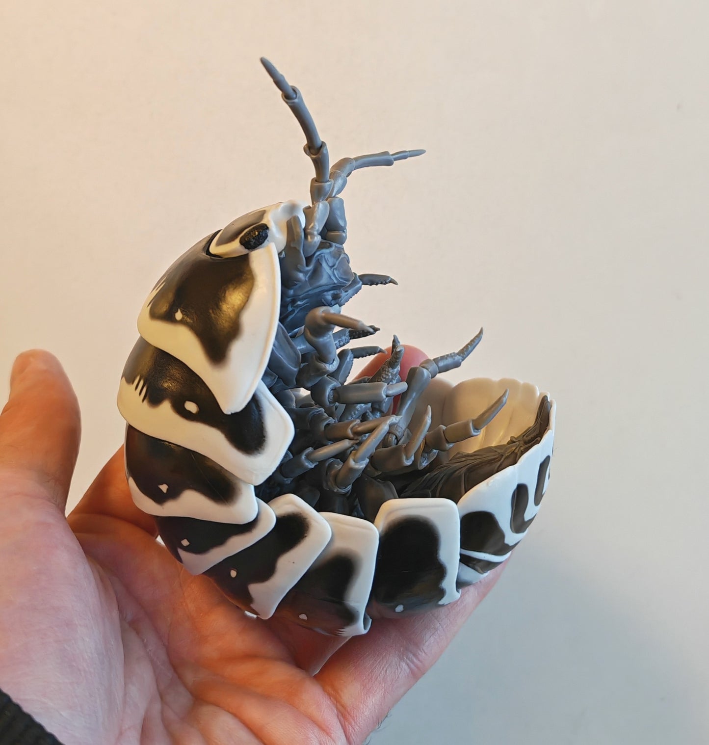 Dangomushi - Isopod, Woodlouse, Pillbug figures! Various options, Japanese exclusives.