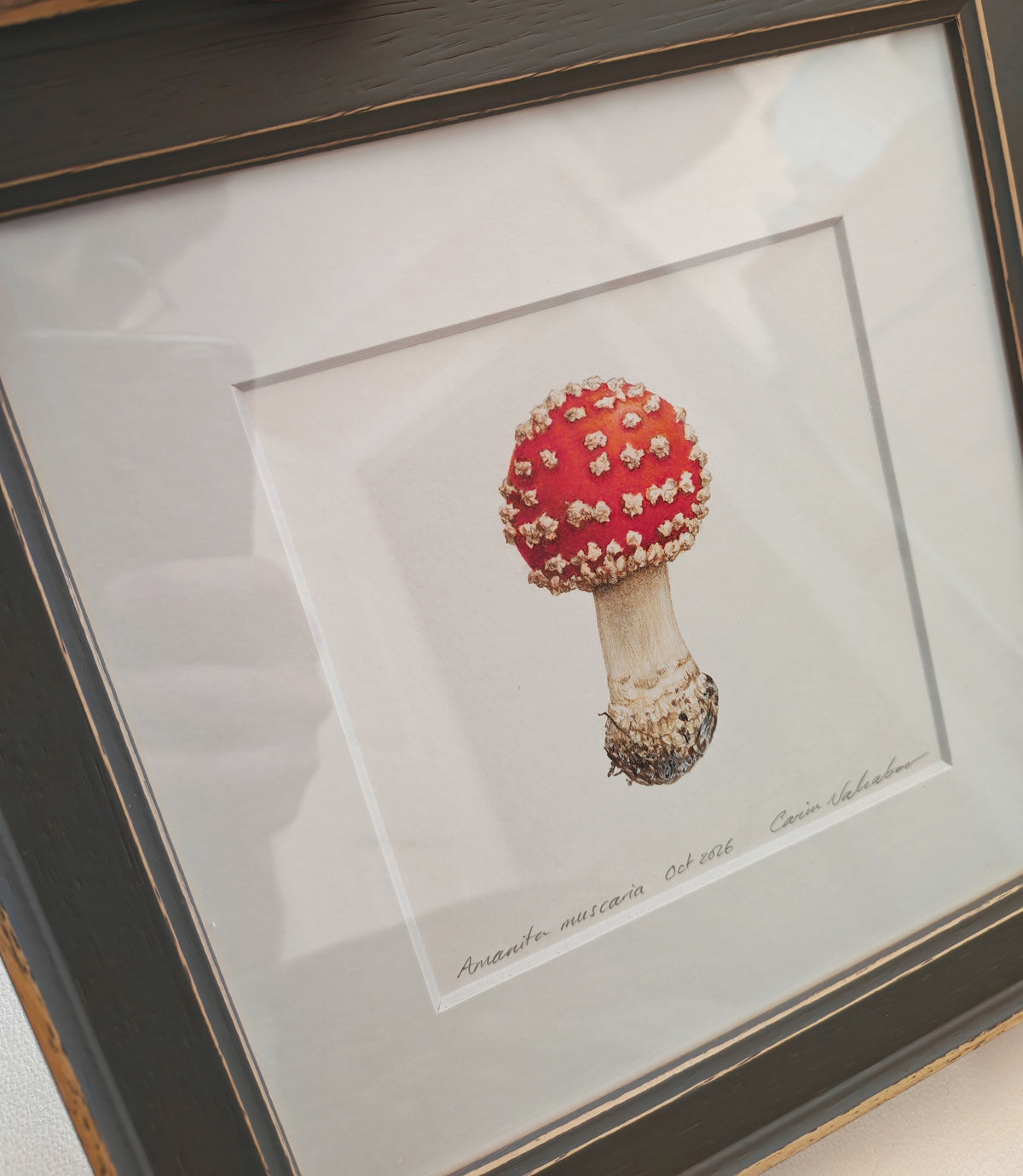 Fly agaric mushroom framed original artwork, Amanita muscaria