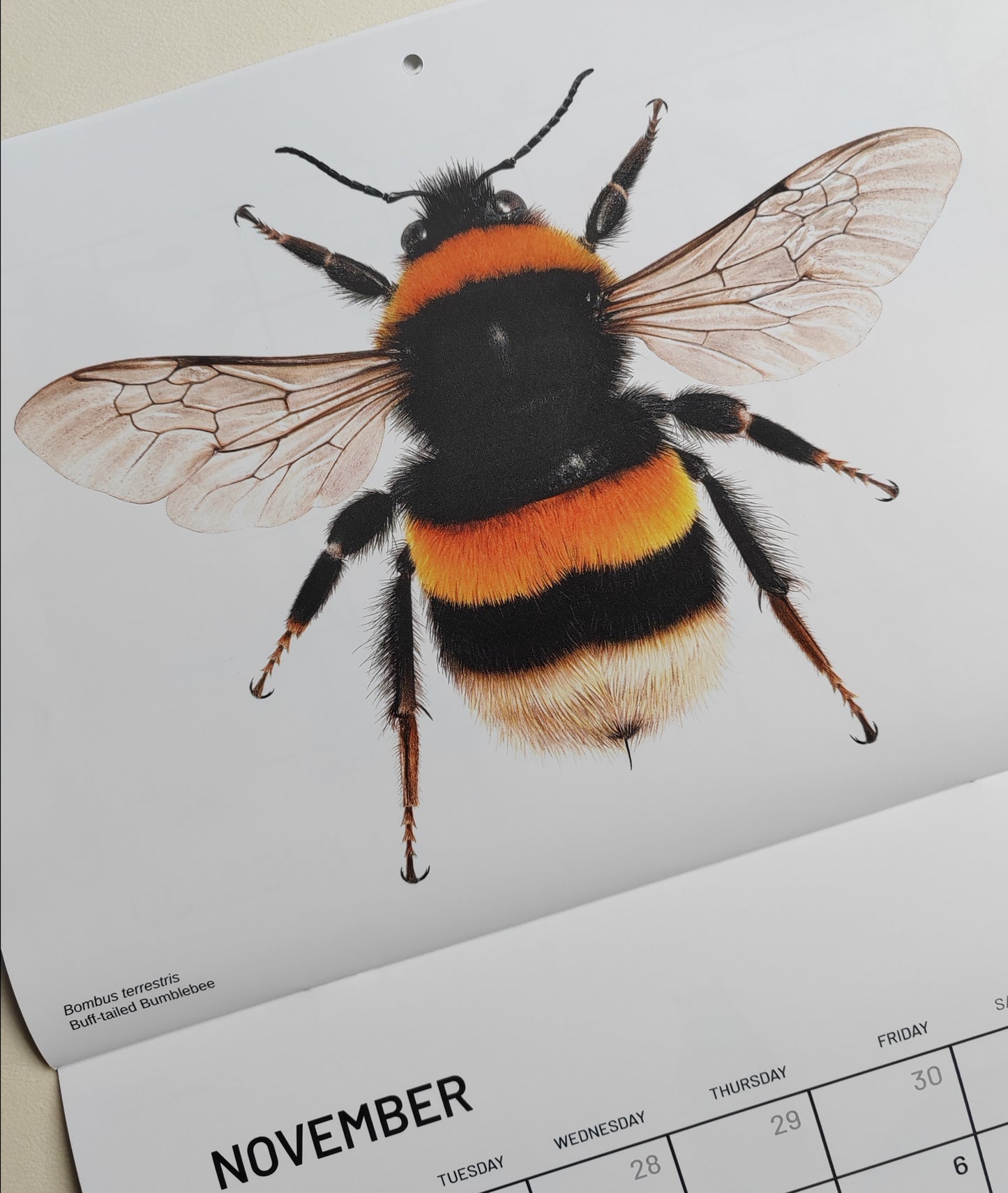 2026 Artwork Calendar