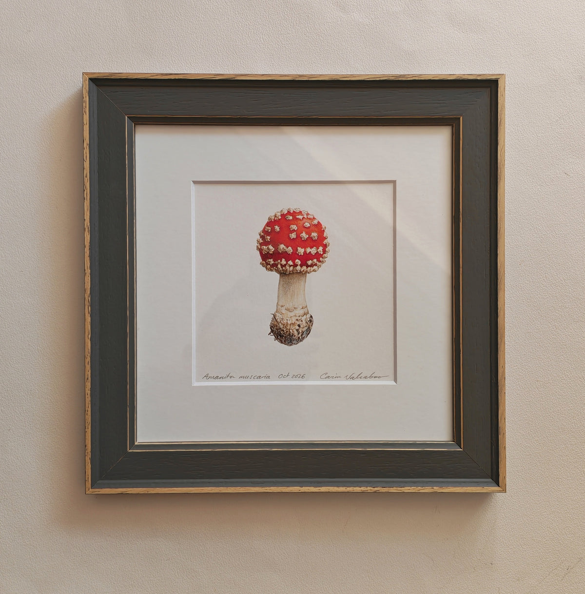 Fly agaric mushroom framed original artwork, Amanita muscaria