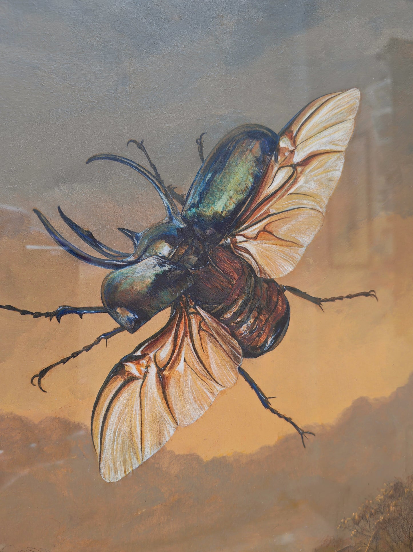 Atlas Beetle,  framed original artwork. Chalcosoma atlas