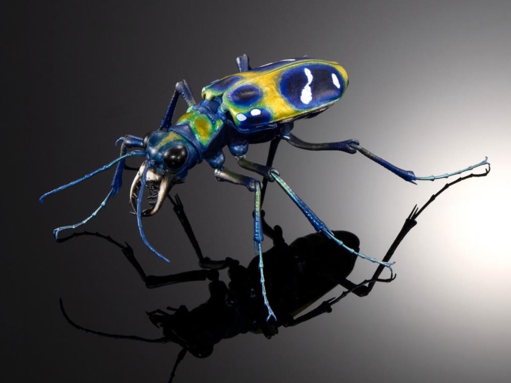 Japanese Beetle figures by Bandai (& others!)