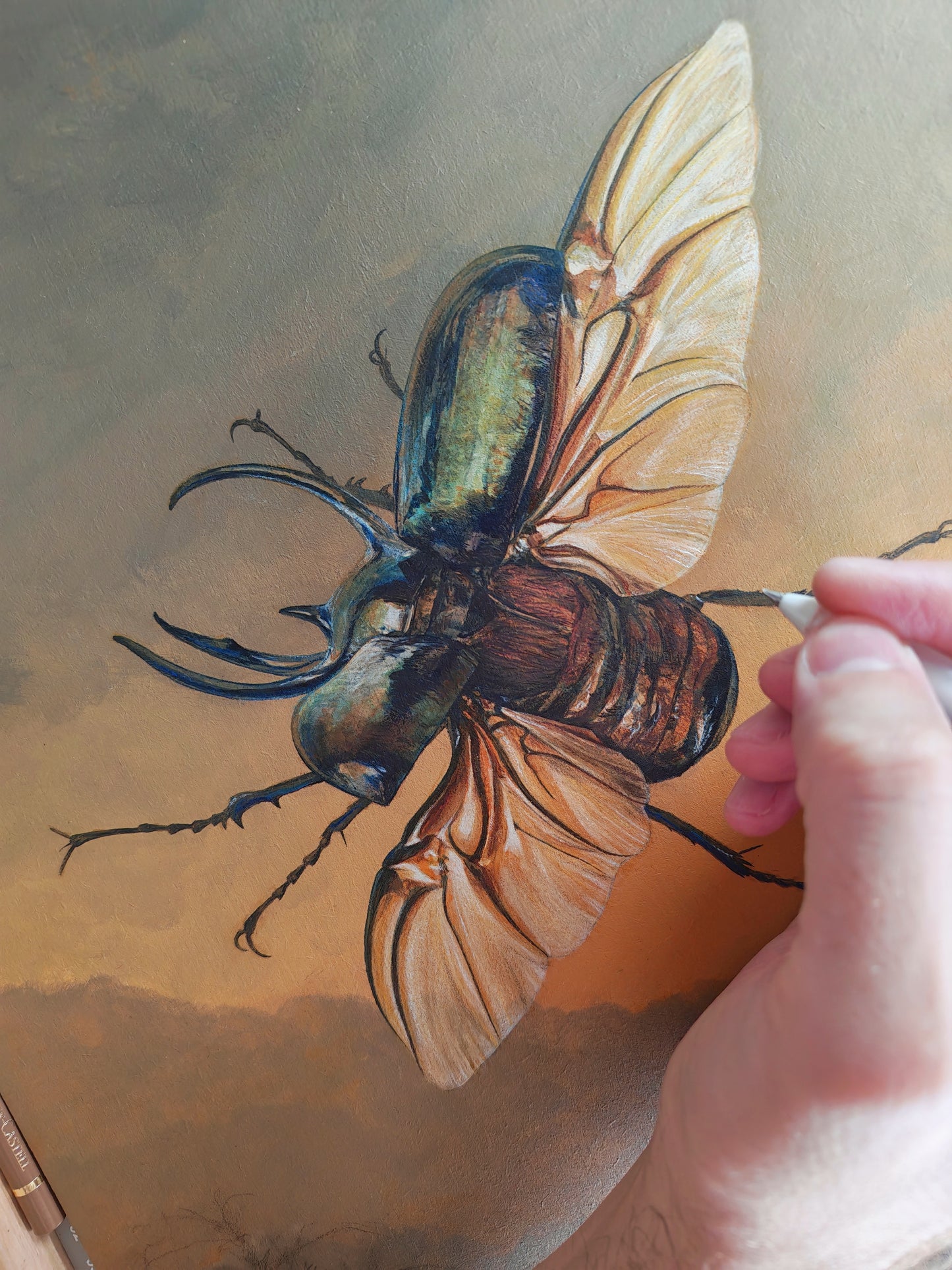 Atlas Beetle,  framed original artwork. Chalcosoma atlas