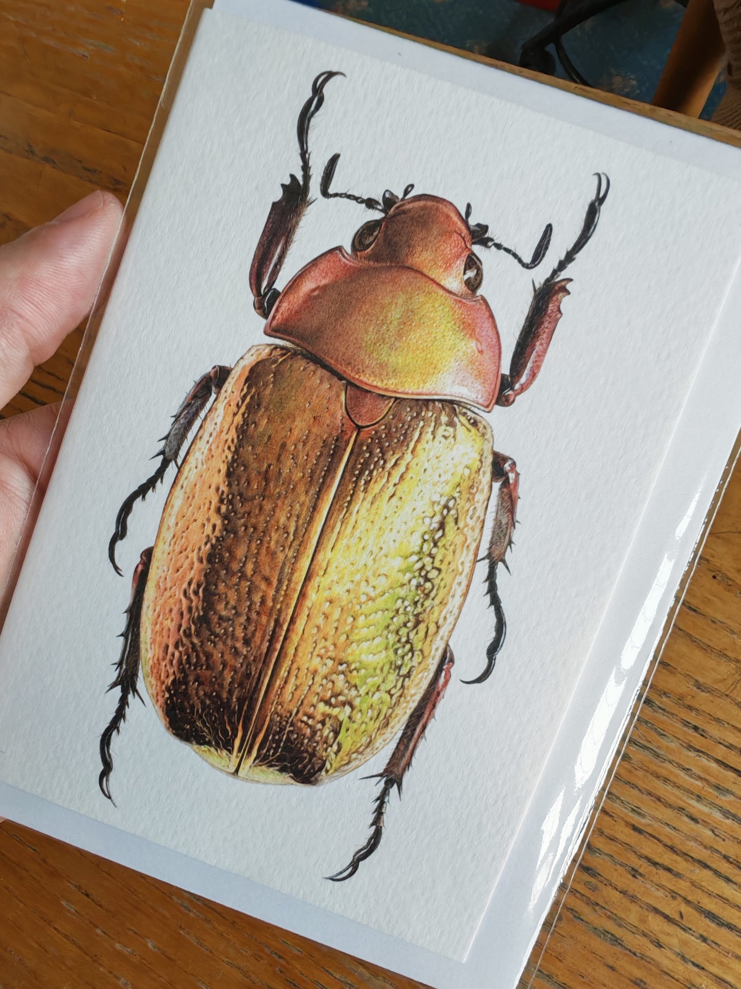 Chrysina boucardi Gold Form, jewel scarab greetings card