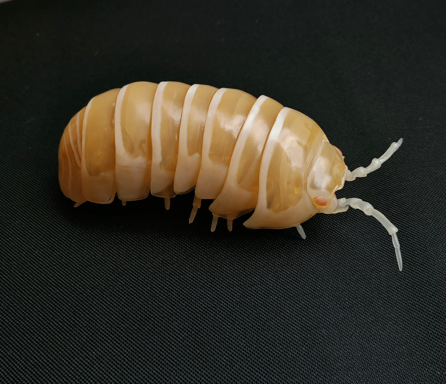 Dangomushi - Isopod, Woodlouse, Pillbug figures! Various options, Japanese exclusives.
