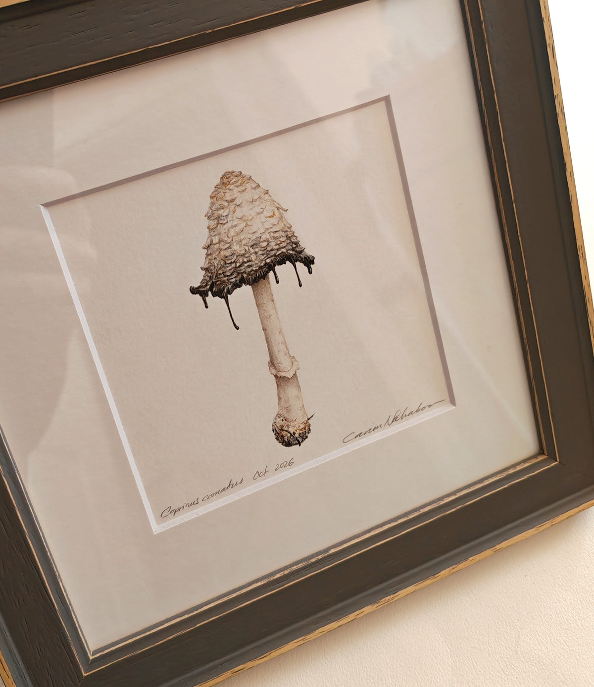 Shaggy Ink Cap mushroom framed original artwork. Coprinus comatus