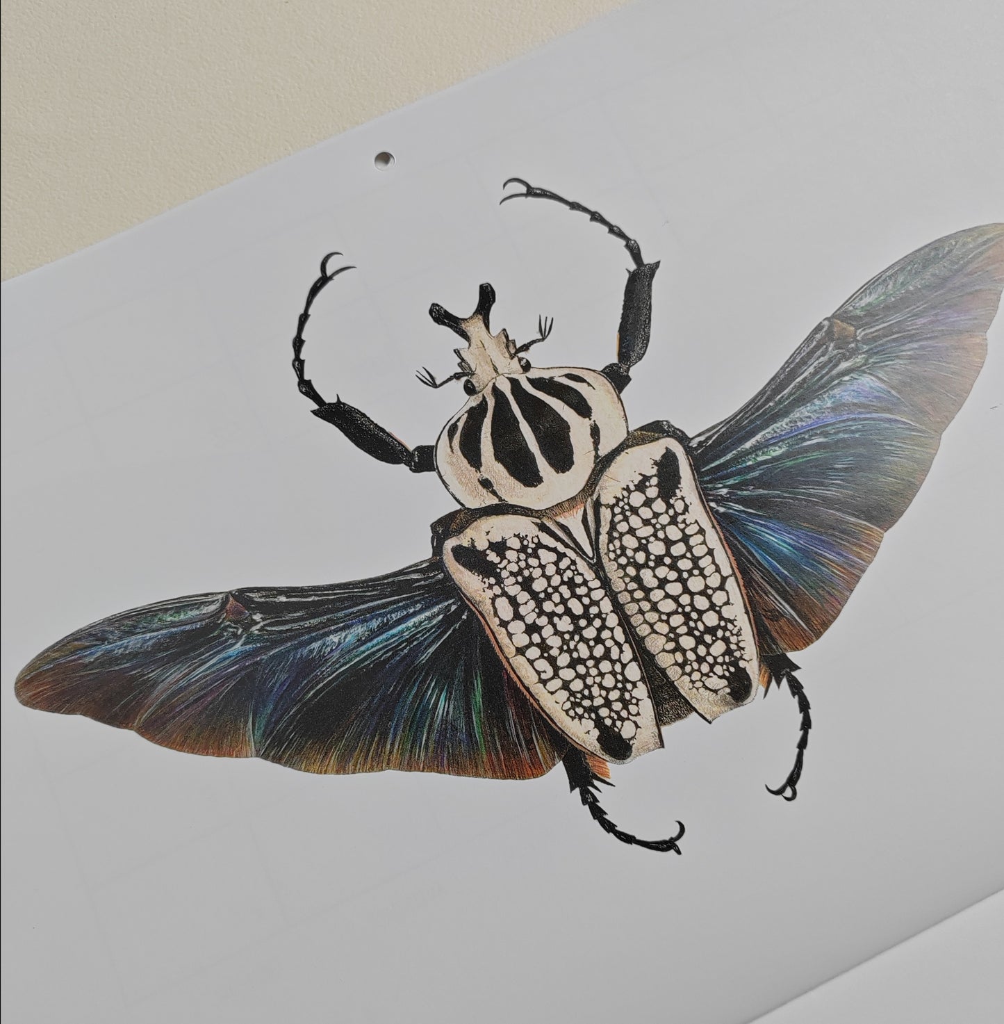 2026 Artwork Calendar