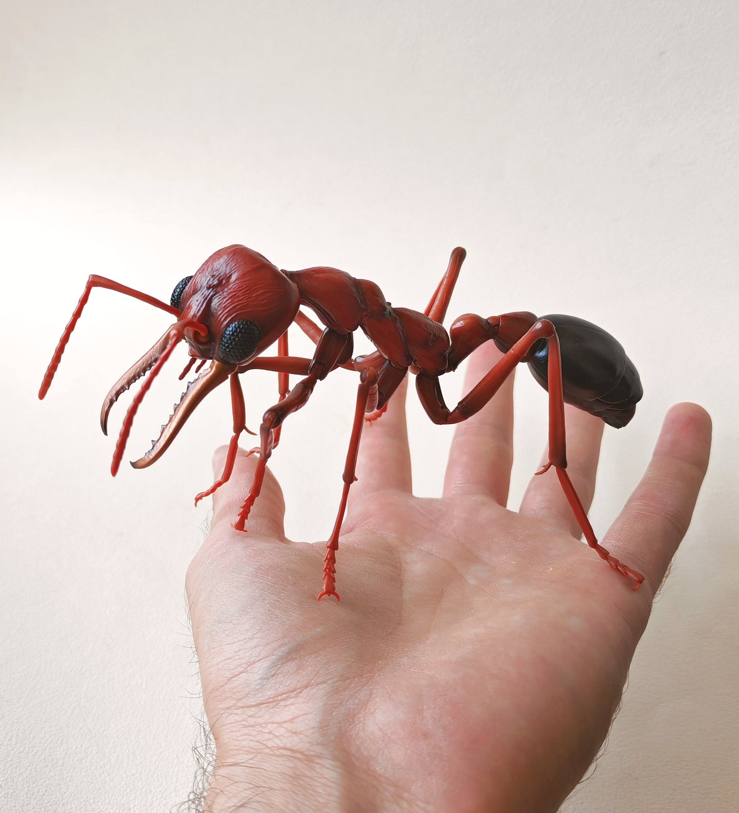 Bullet Ant and Bulldog Ants, Paraponera clavata, Japanese fully posable figure (And other ants!) made by Bandai