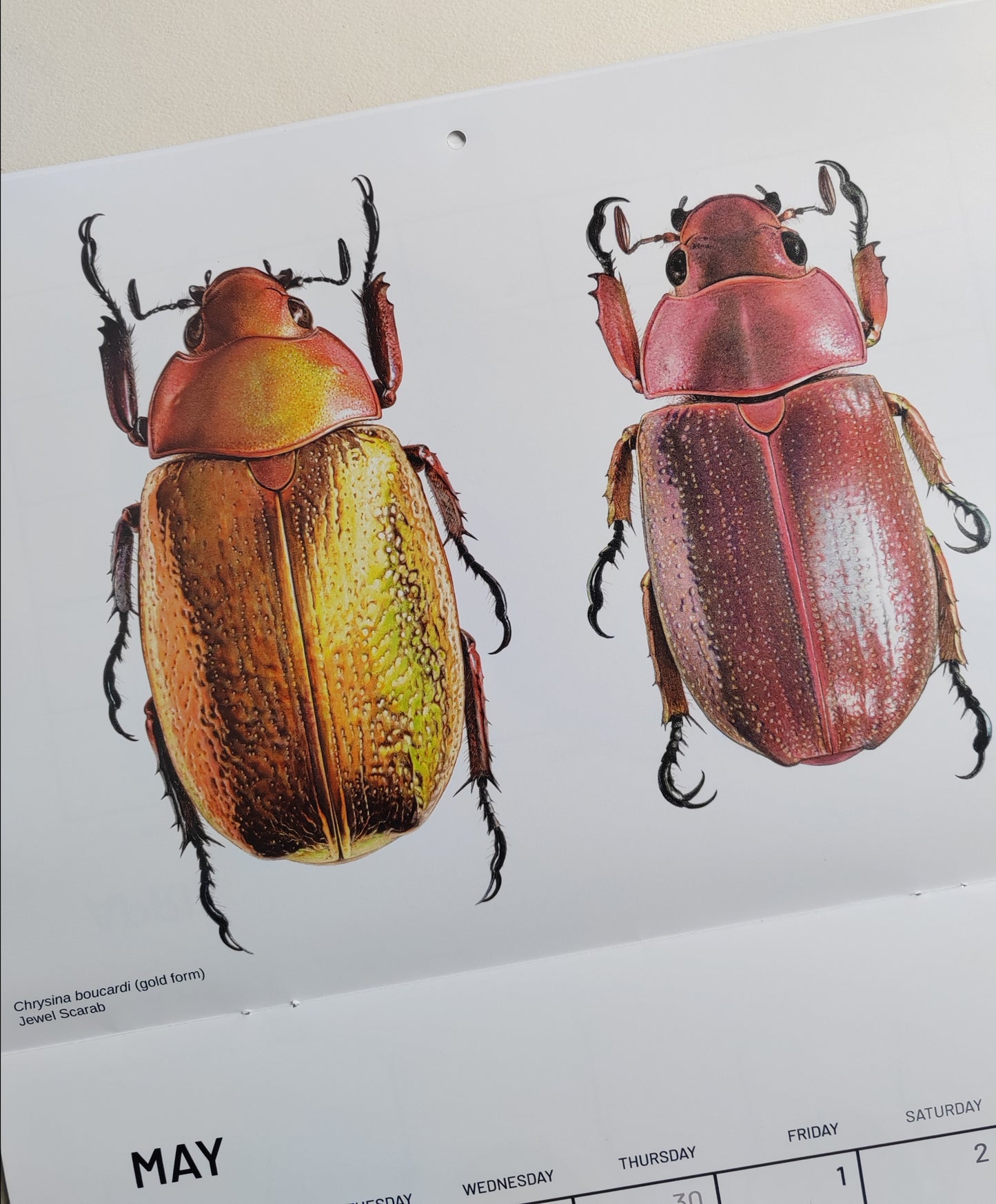 2026 Artwork Calendar