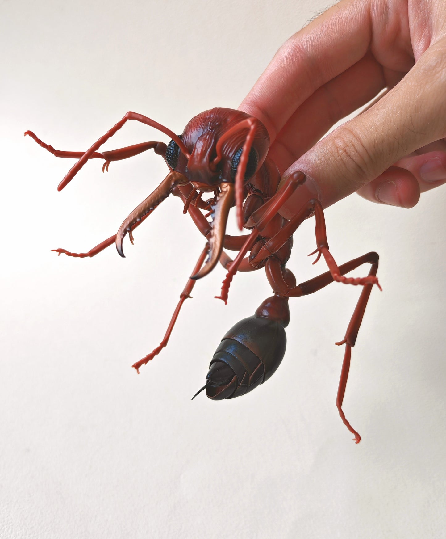 Bullet Ant and Bulldog Ants, Paraponera clavata, Japanese fully posable figure (And other ants!) made by Bandai