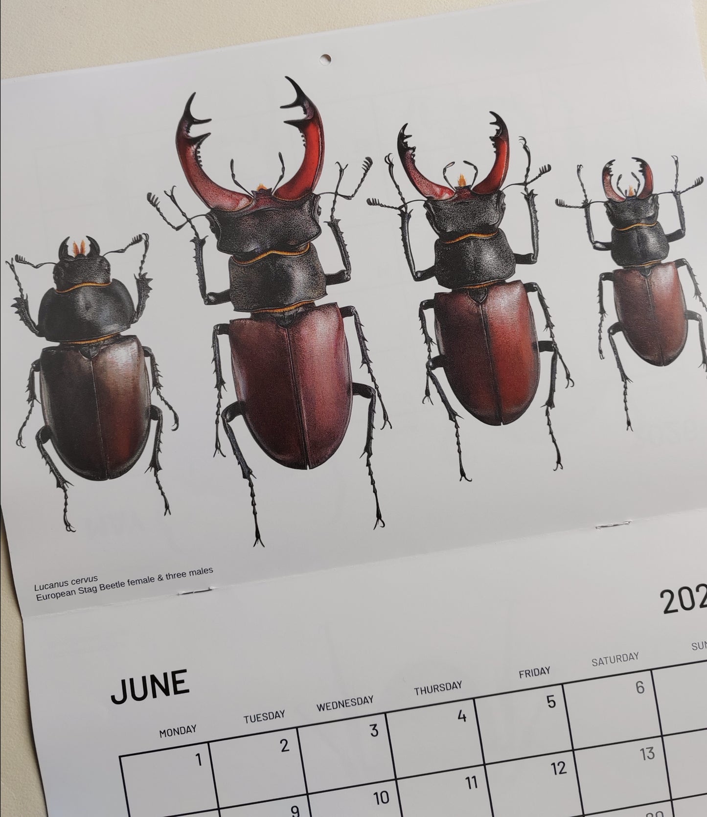 2026 Artwork Calendar