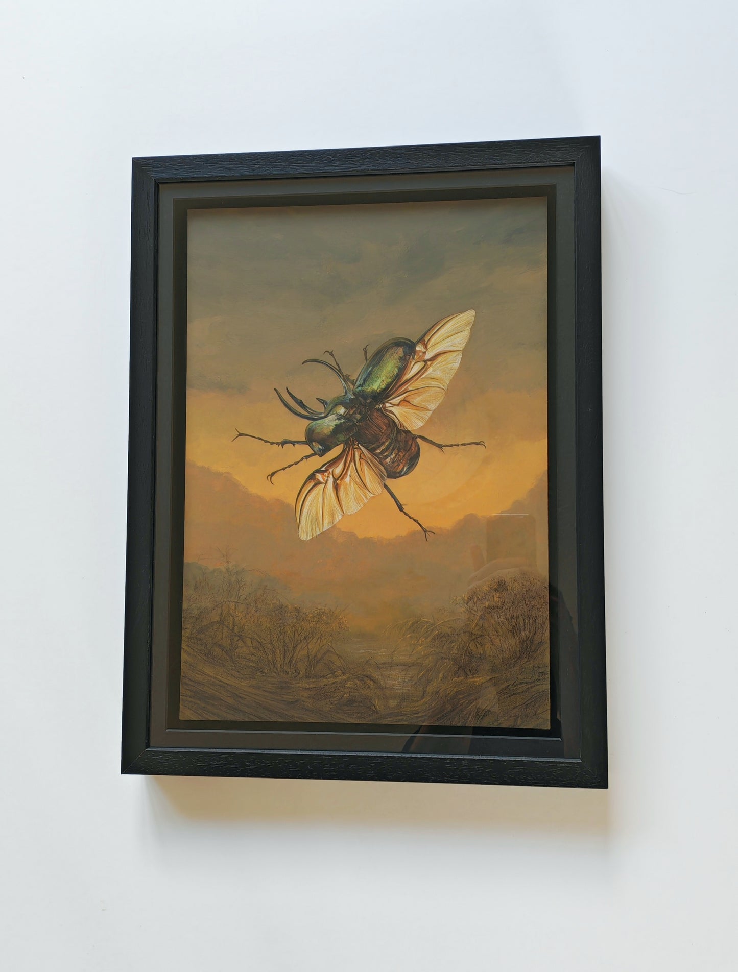 Atlas Beetle,  framed original artwork. Chalcosoma atlas