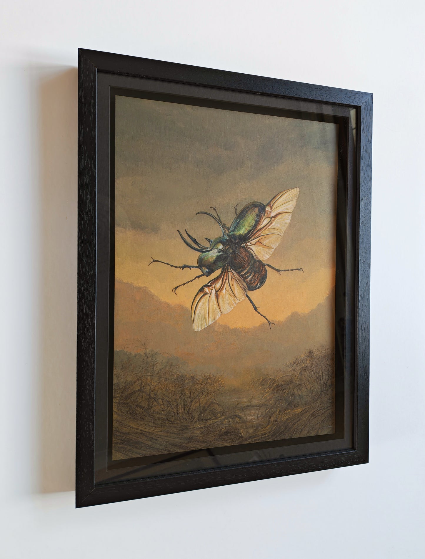 Atlas Beetle,  framed original artwork. Chalcosoma atlas