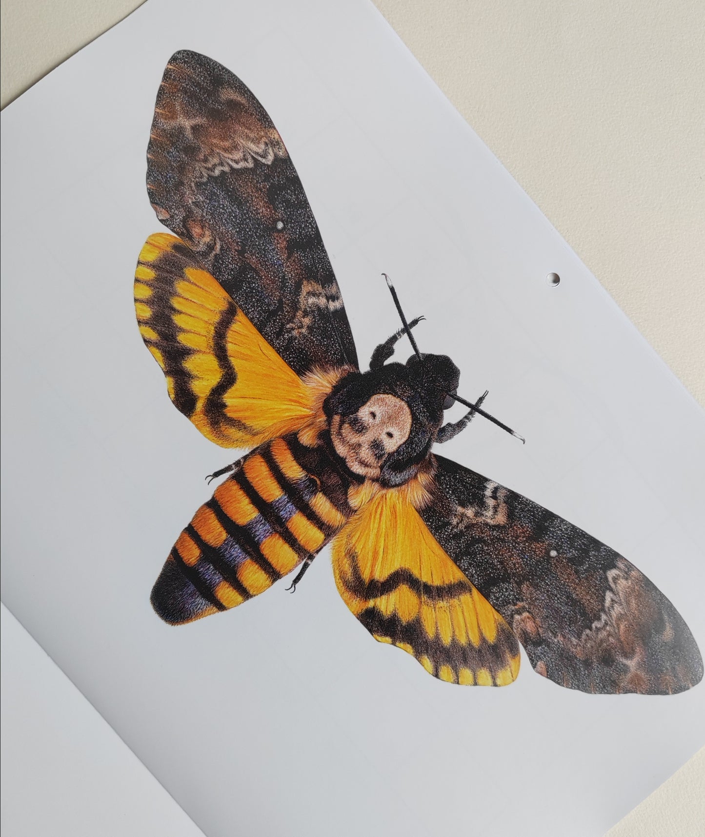 2026 Artwork Calendar