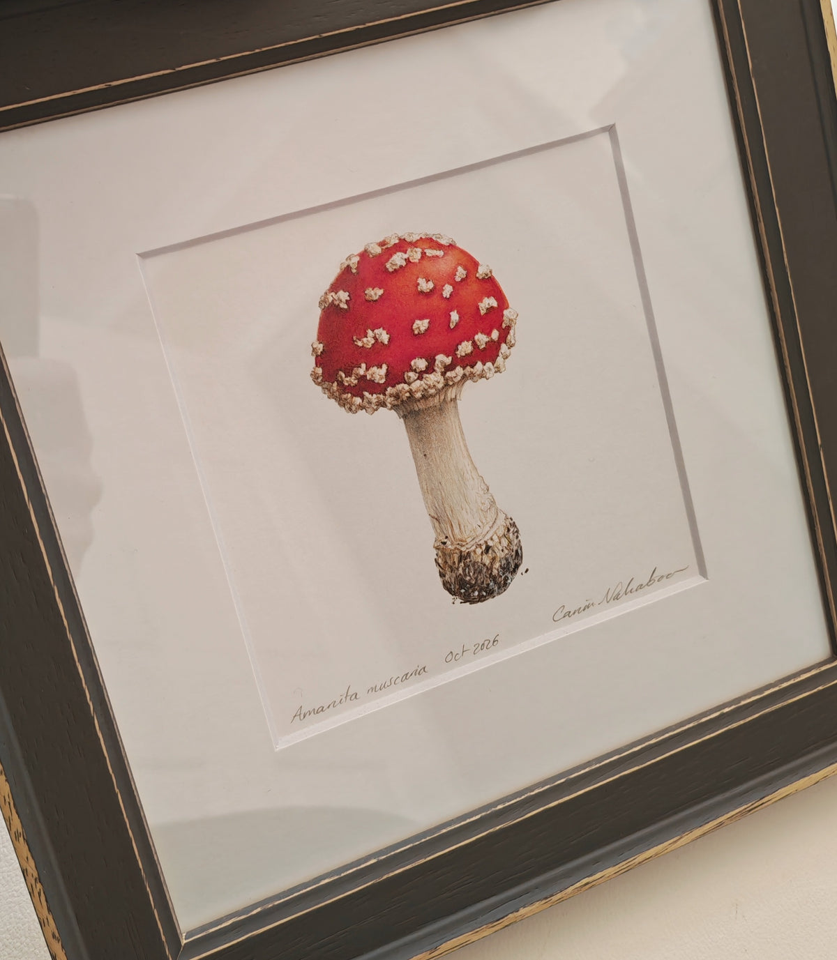 Fly agaric mushroom framed original artwork. Amanita muscaria