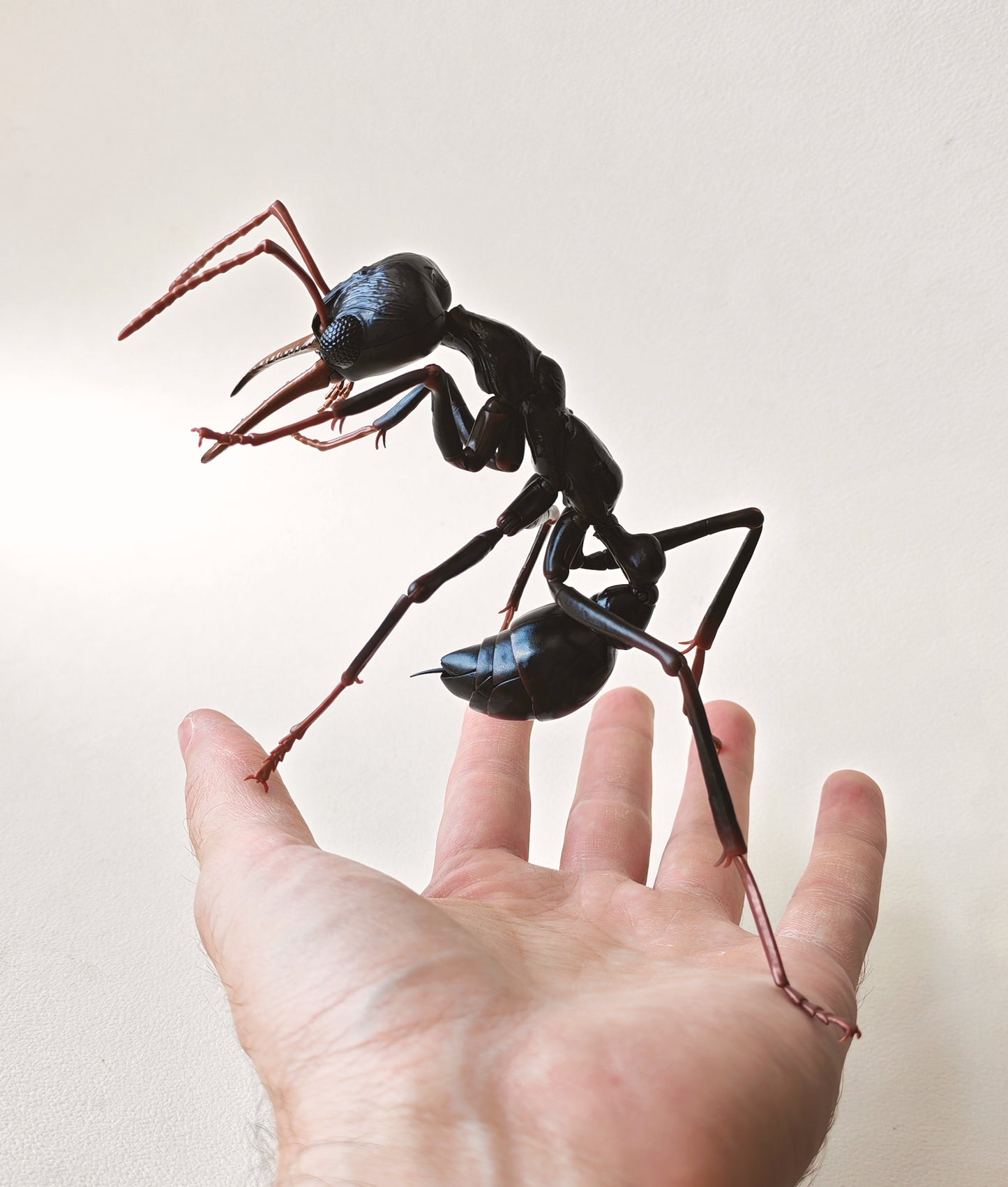 Bullet Ant and Bulldog Ants, Paraponera clavata, Japanese fully posable figure (And other ants!) made by Bandai