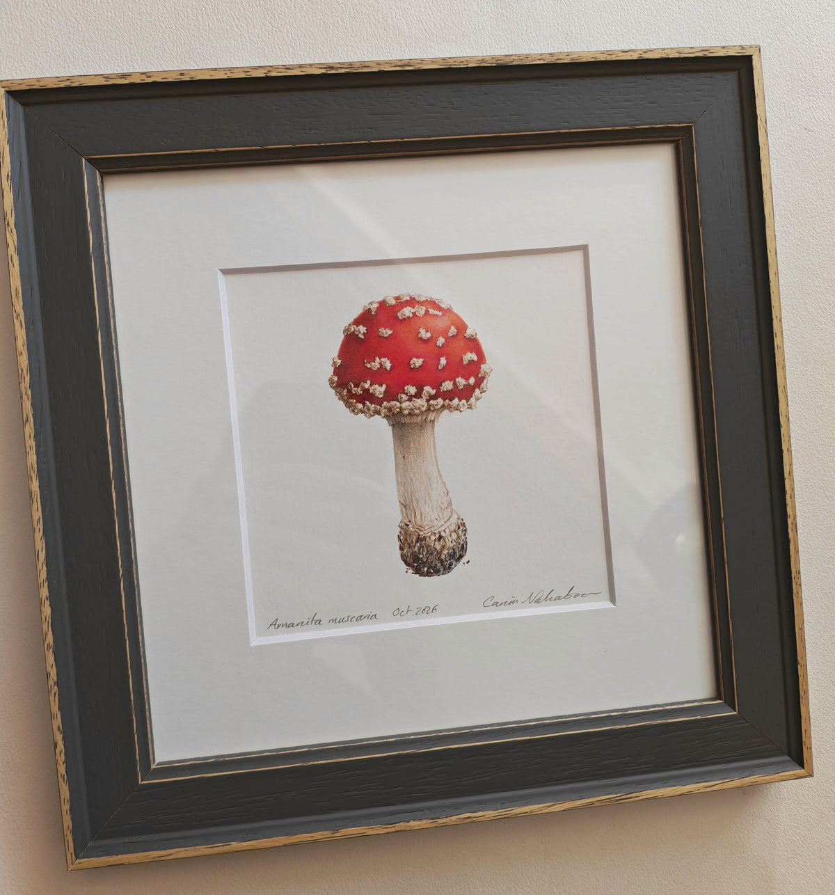 Fly agaric mushroom framed original artwork. Amanita muscaria