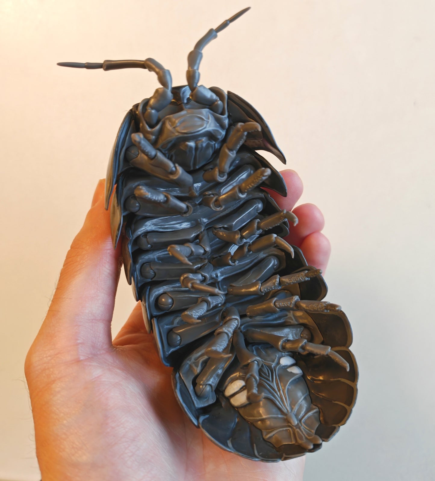 Dangomushi - Isopod, Woodlouse, Pillbug figures! Various options, Japanese exclusives.