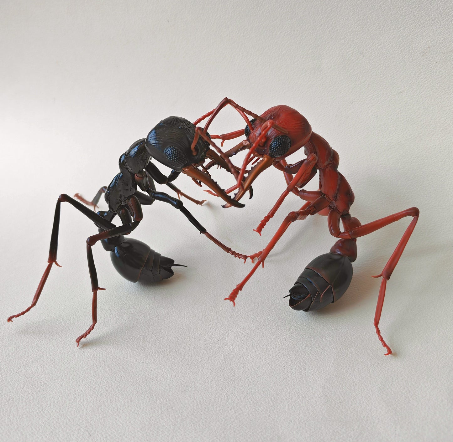 Bullet Ant and Bulldog Ants, Paraponera clavata, Japanese fully posable figure (And other ants!) made by Bandai