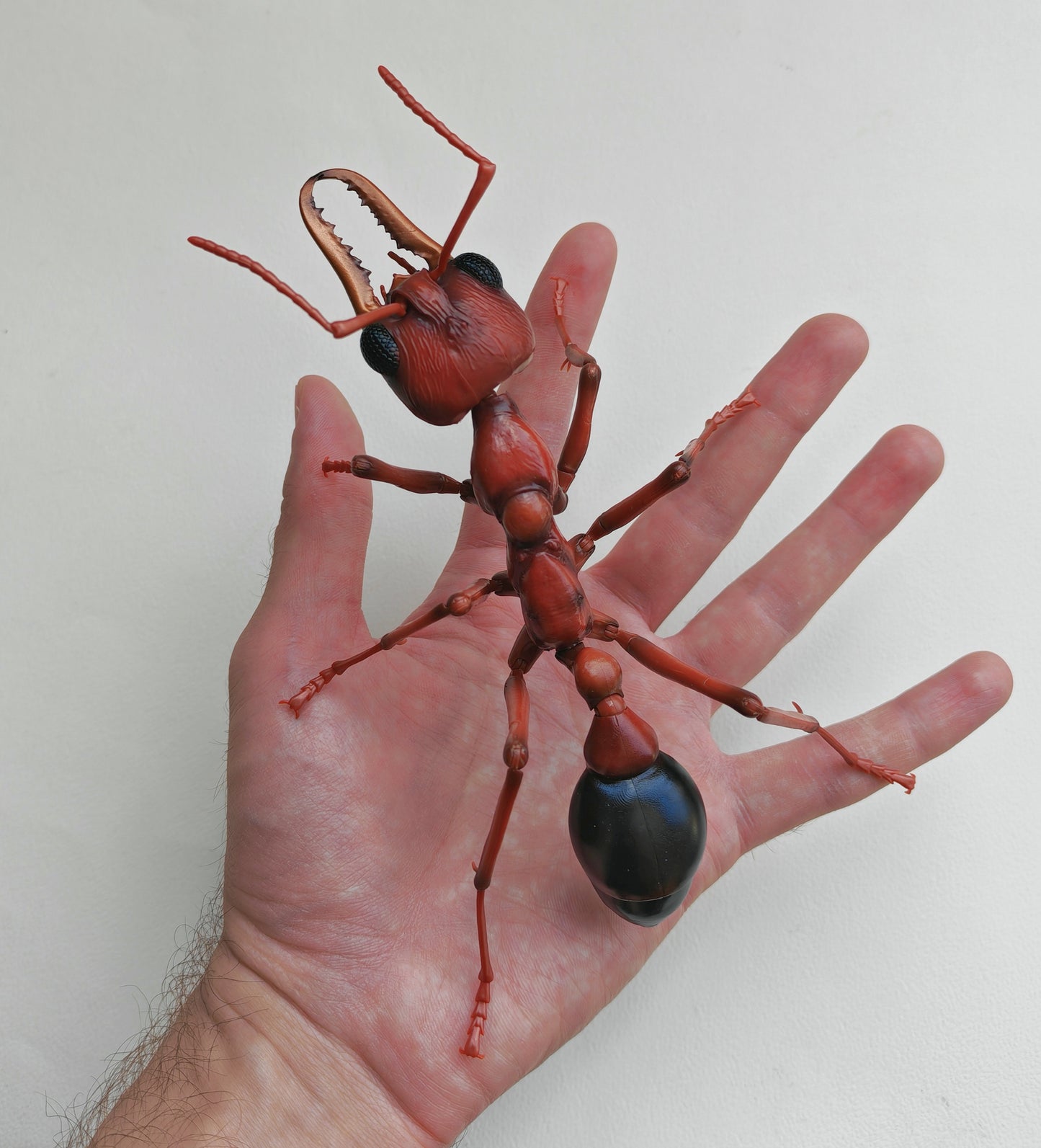 Bullet Ant and Bulldog Ants, Paraponera clavata, Japanese fully posable figure (And other ants!) made by Bandai