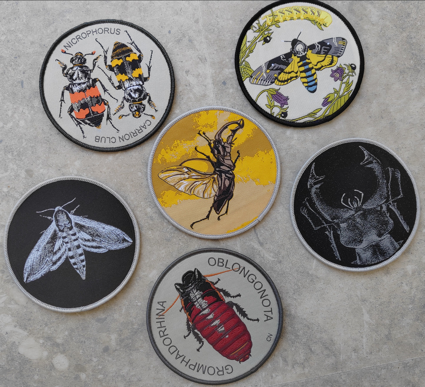 Nicrophorus, Carrion Club, embroidered sew on patch