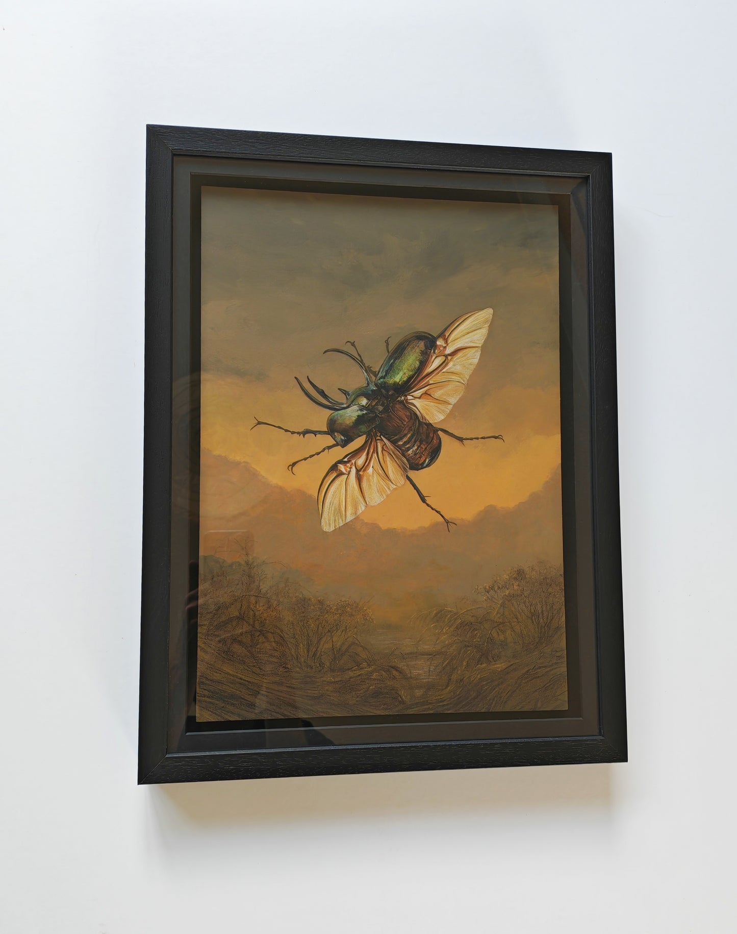 Atlas Beetle,  framed original artwork. Chalcosoma atlas