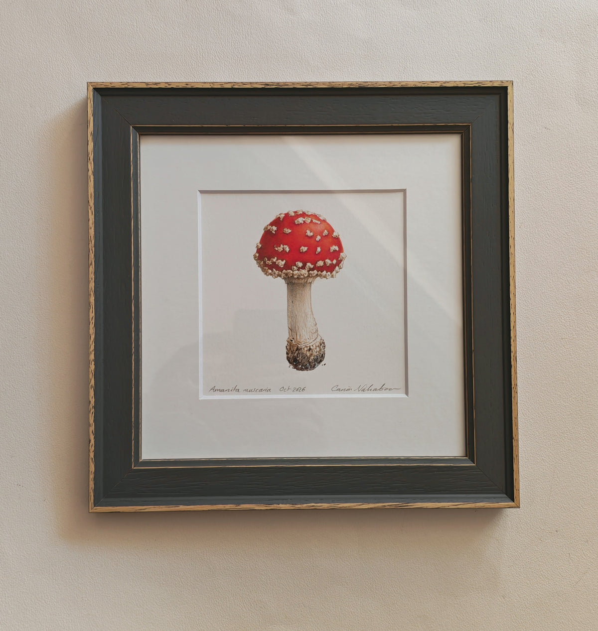 Fly agaric mushroom framed original artwork. Amanita muscaria