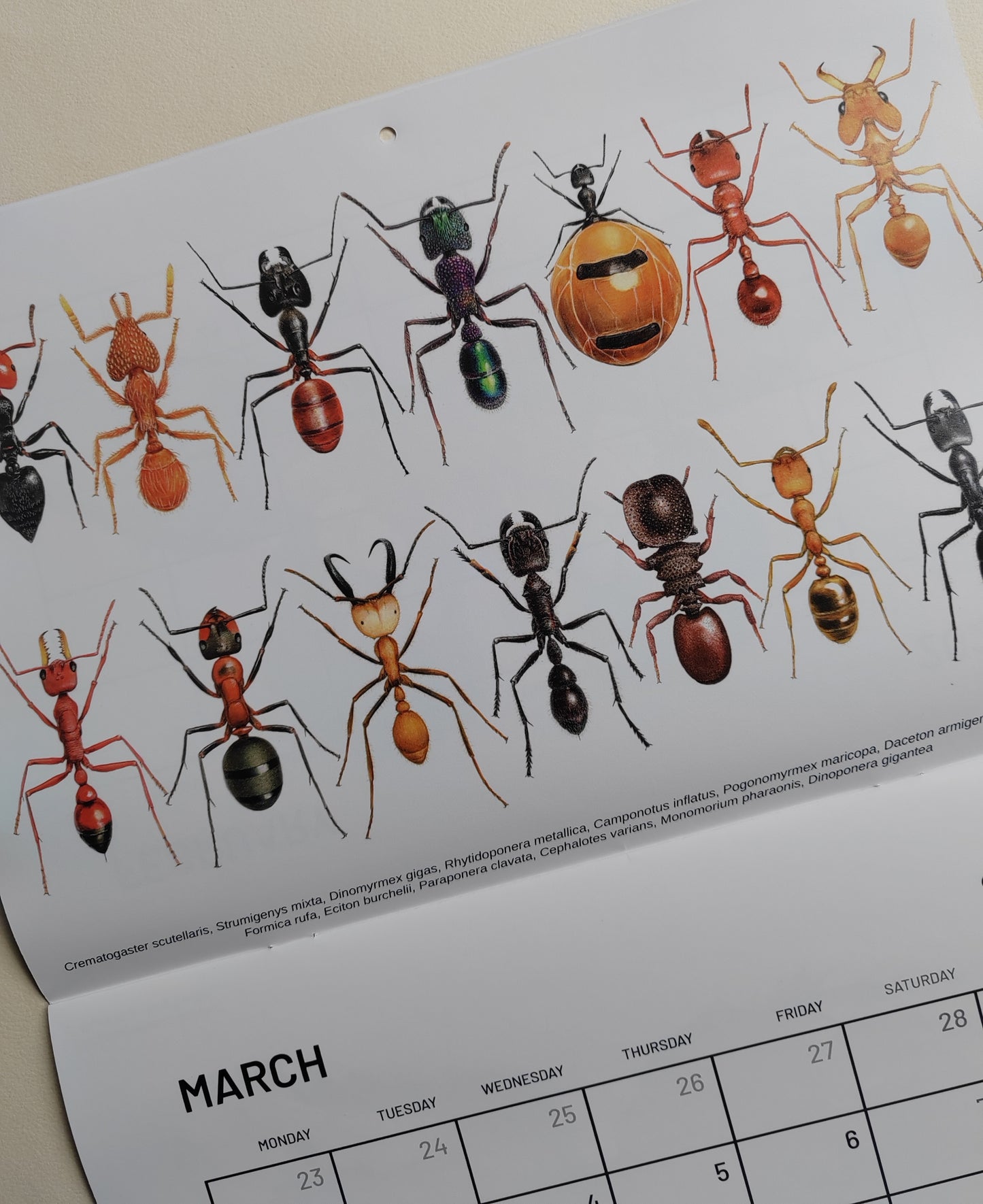 2026 Artwork Calendar