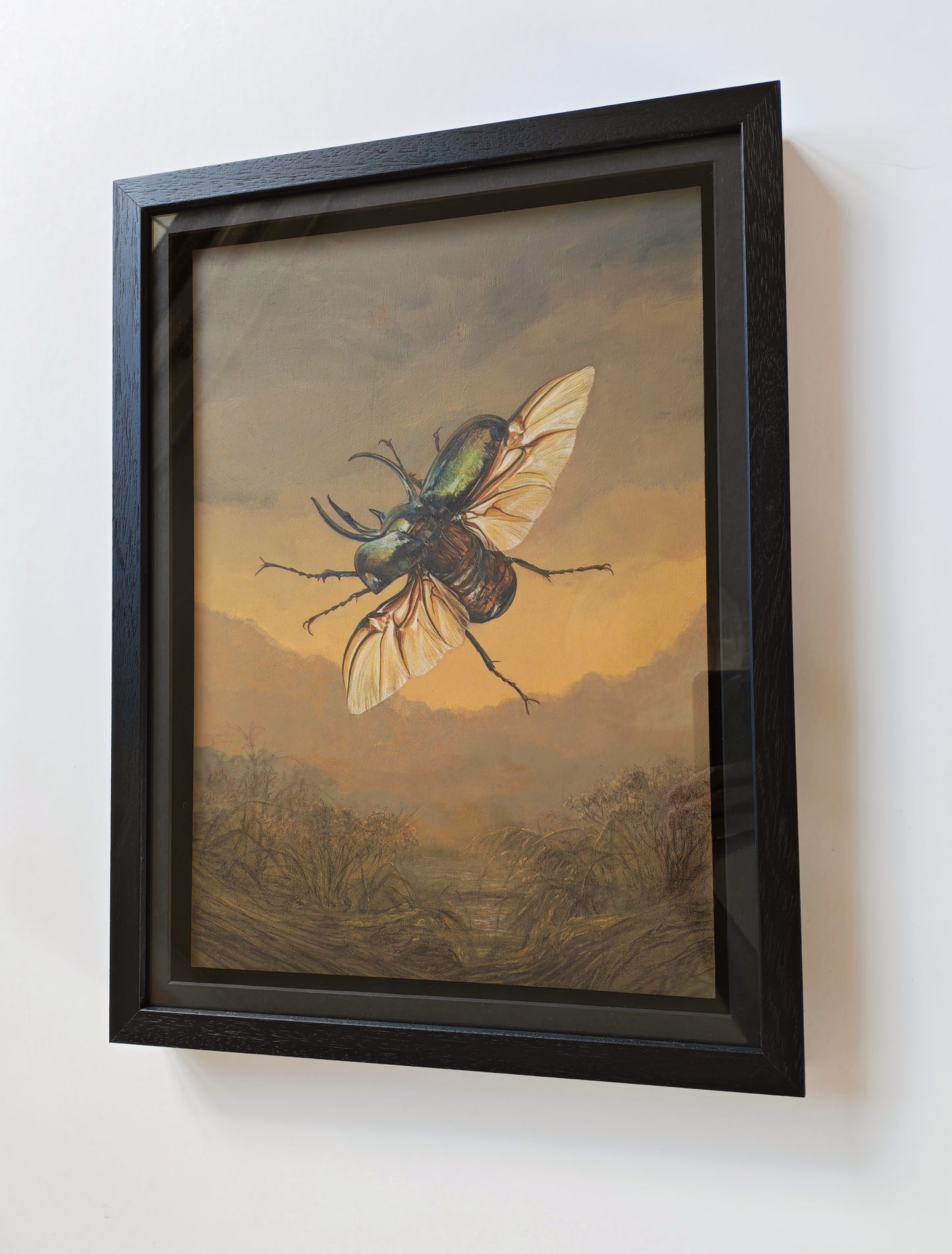 Atlas Beetle,  framed original artwork. Chalcosoma atlas