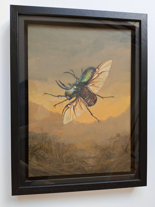 Atlas Beetle,  framed original artwork. Chalcosoma atlas
