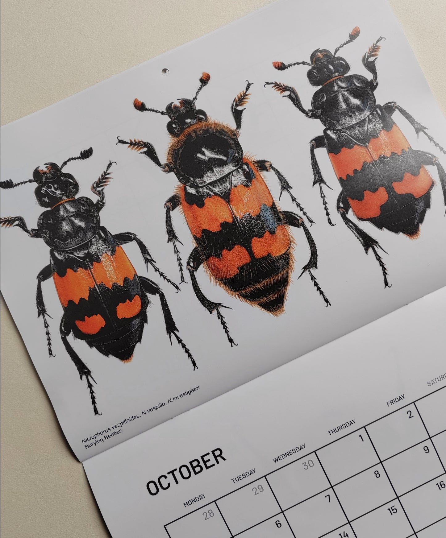 2026 Artwork Calendar