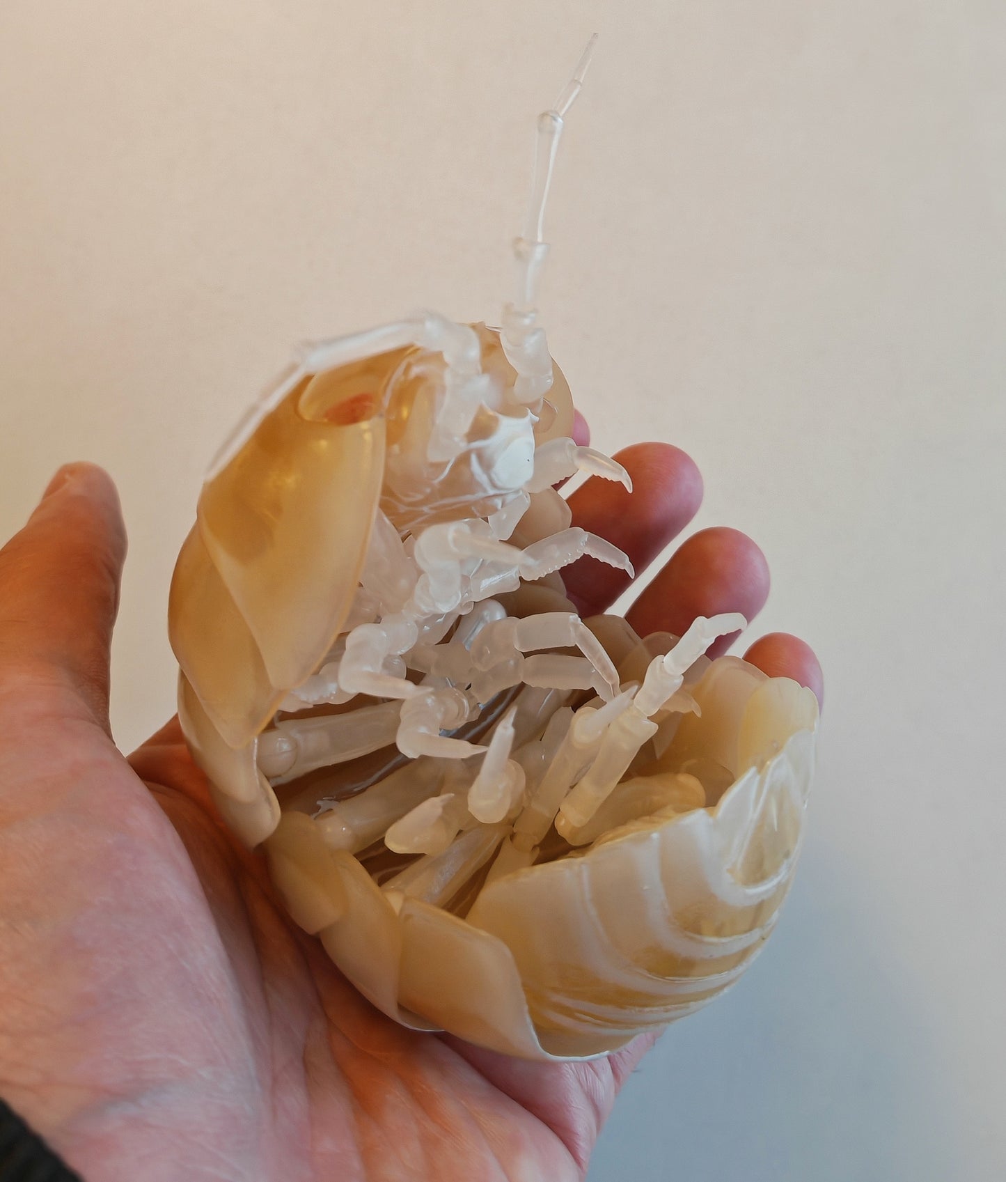 Dangomushi - Isopod, Woodlouse, Pillbug figures! Various options, Japanese exclusives.