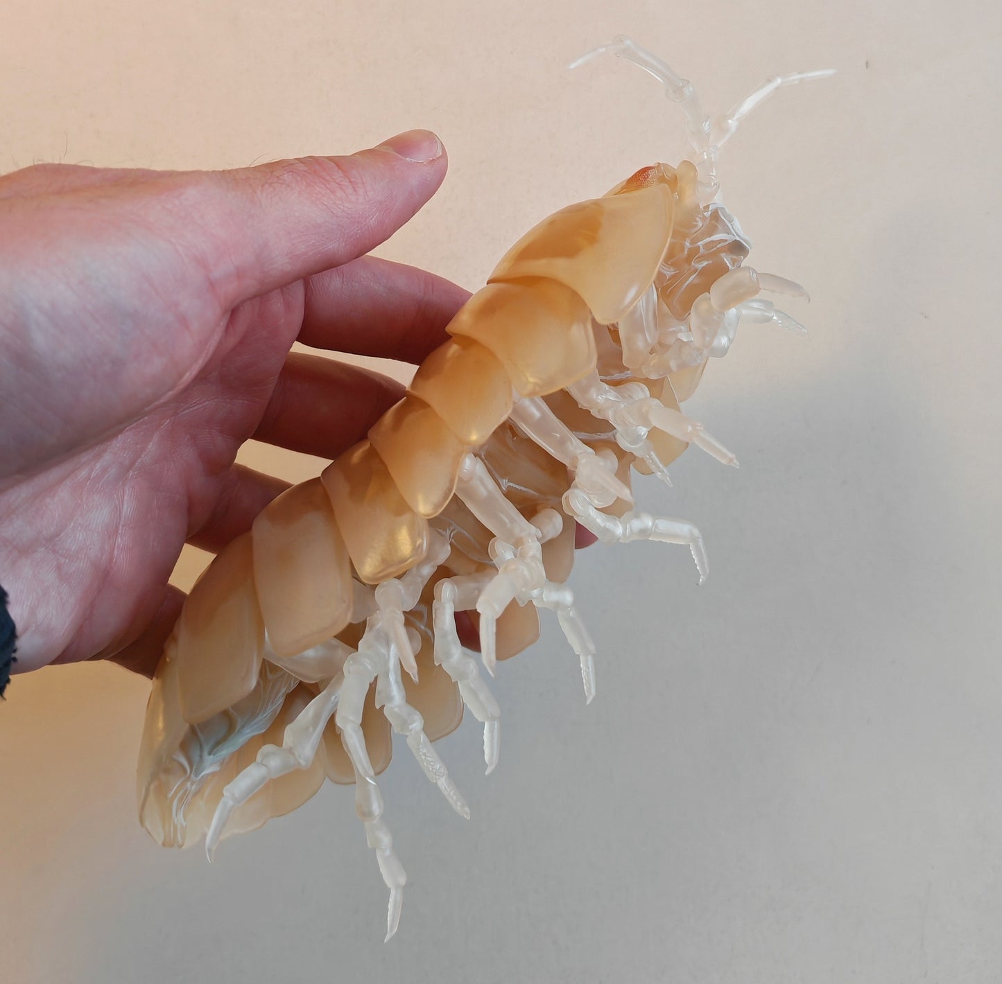 Dangomushi - Isopod, Woodlouse, Pillbug figures! Various options, Japanese exclusives.