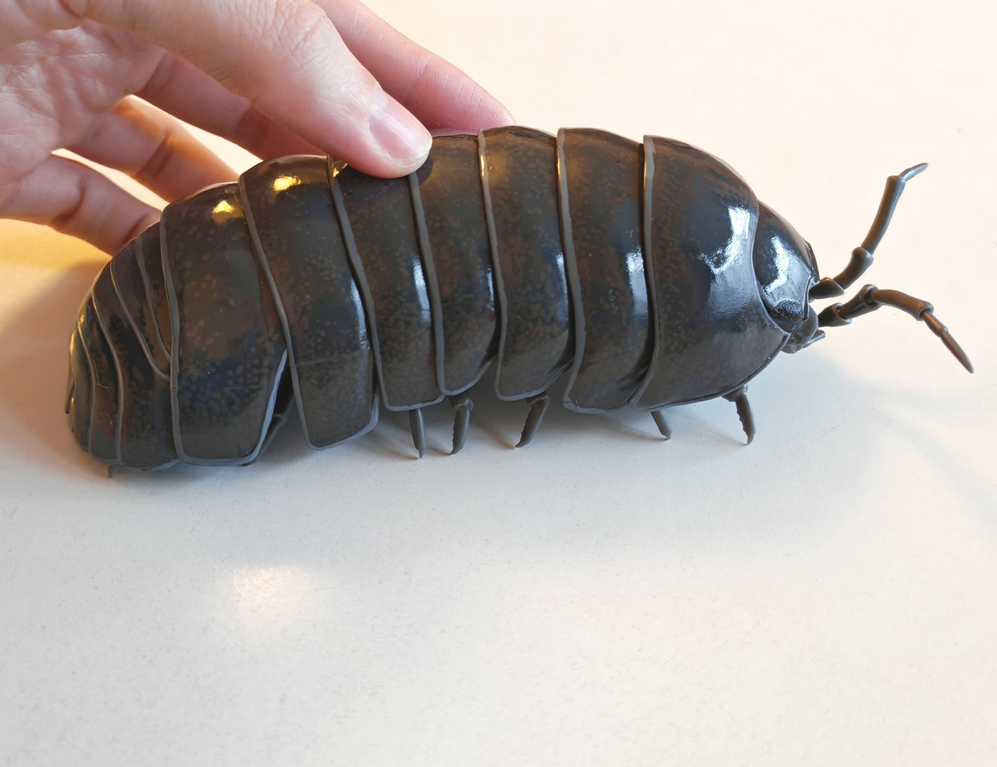 Dangomushi - Isopod, Woodlouse, Pillbug figures! Various options, Japanese exclusives.