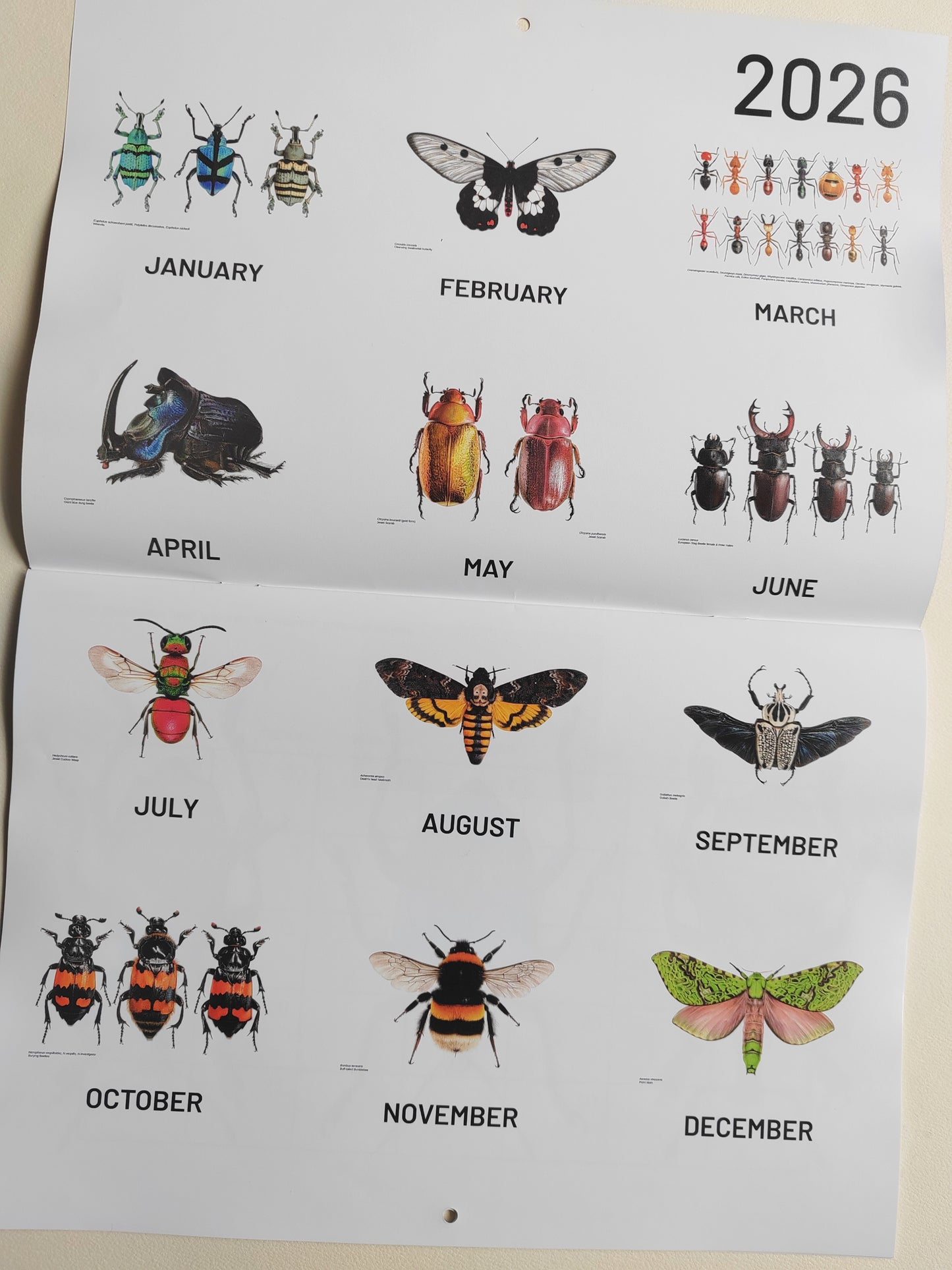 2026 Artwork Calendar