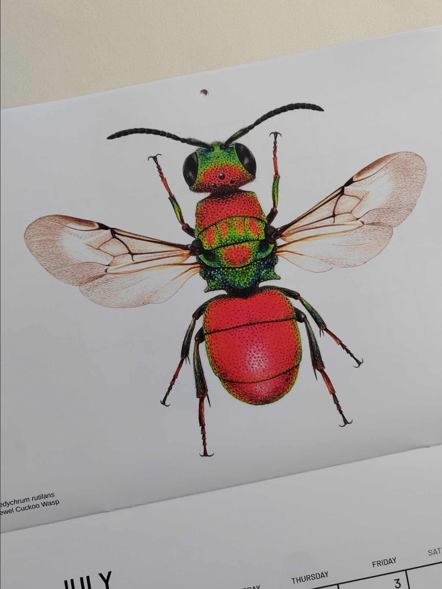 2026 Artwork Calendar