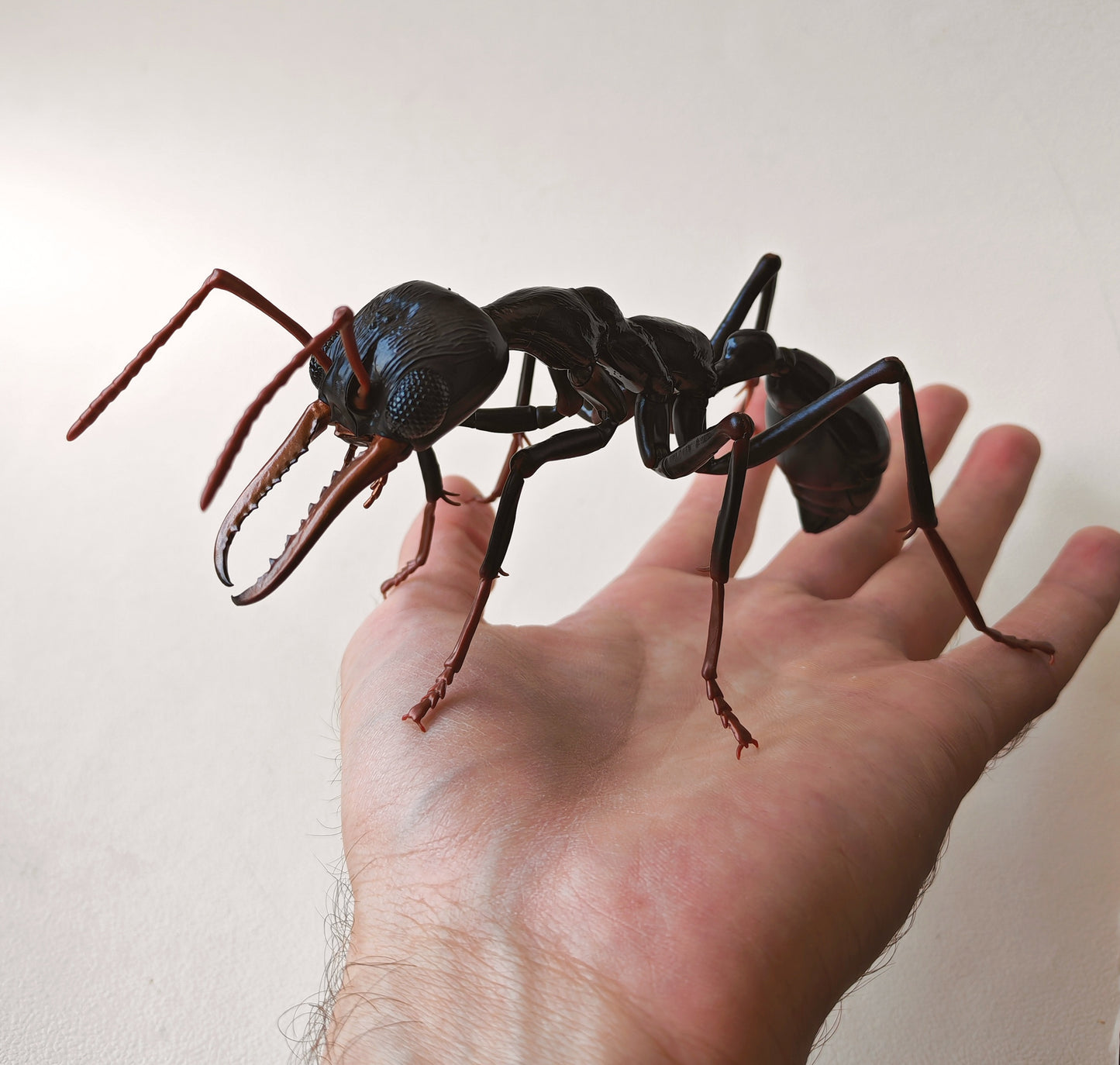 Bullet Ant and Bulldog Ants, Paraponera clavata, Japanese fully posable figure (And other ants!) made by Bandai