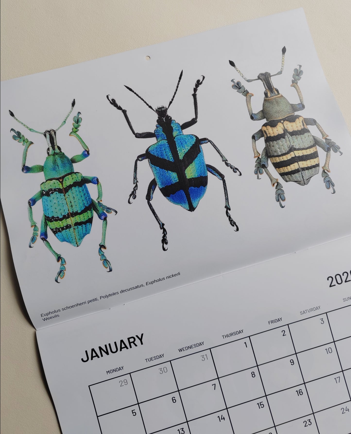 2026 Artwork Calendar