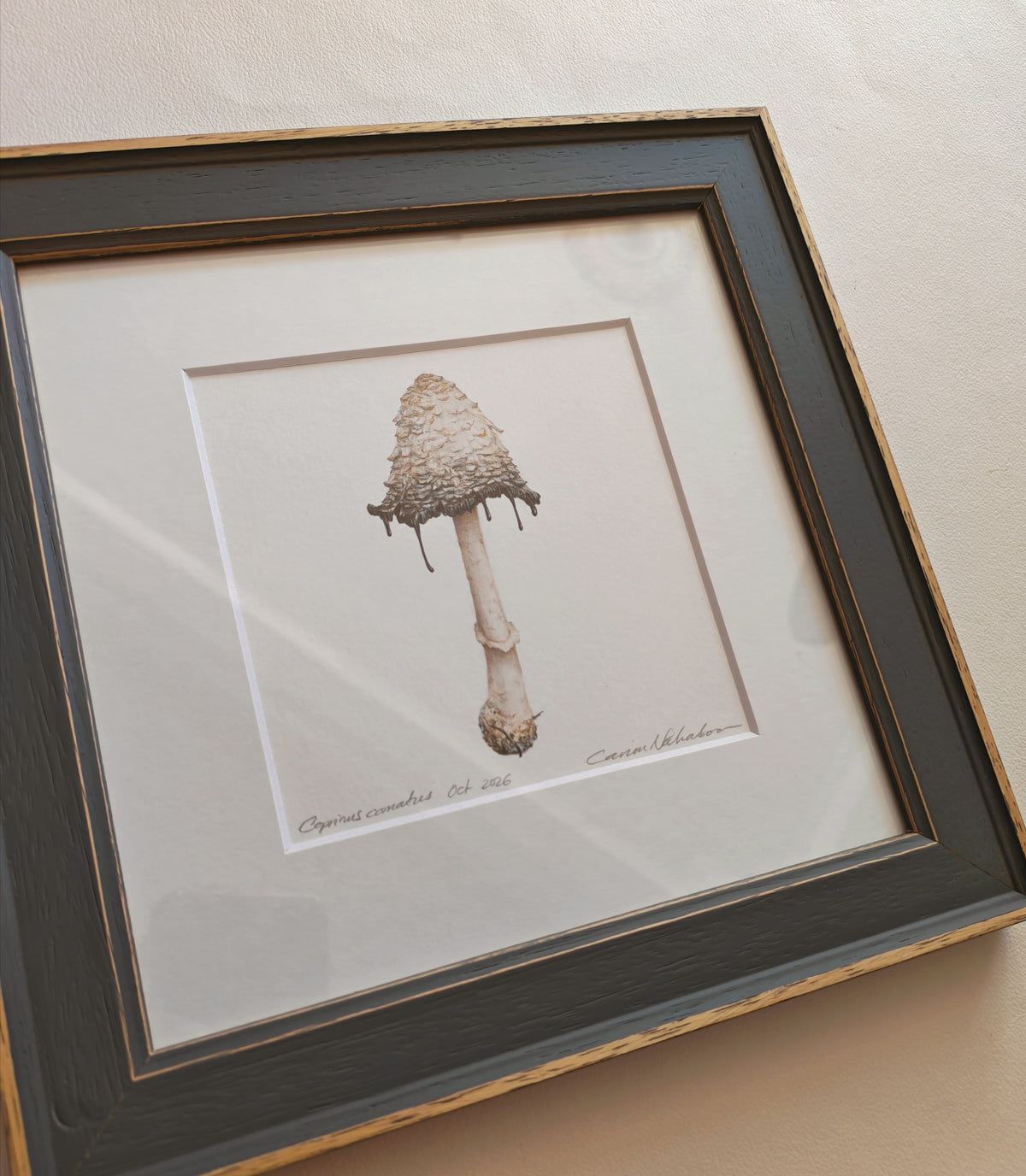 Shaggy Ink Cap mushroom framed original artwork. Coprinus comatus