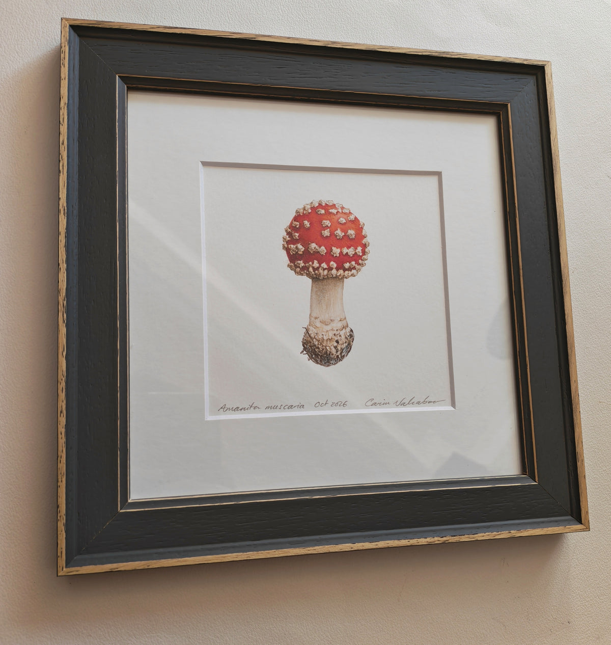 Fly agaric mushroom framed original artwork, Amanita muscaria