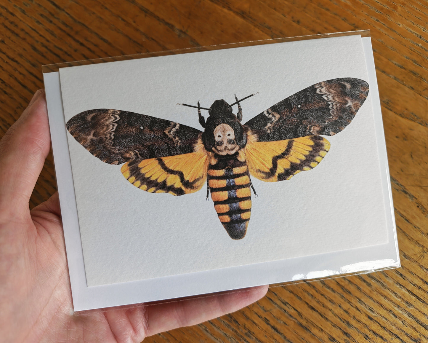 Greetings card-  Death's Head Hawk Moth, Acherontia atropos