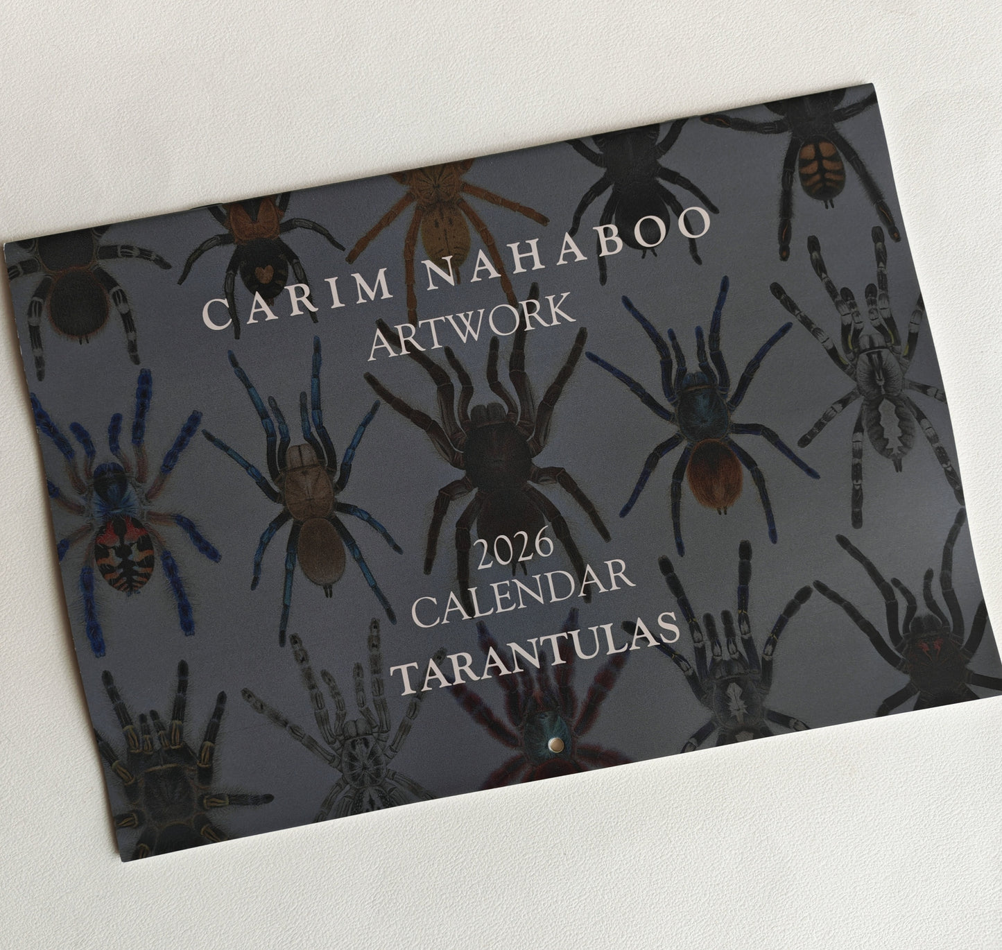 Tarantulas artwork calendar 2026