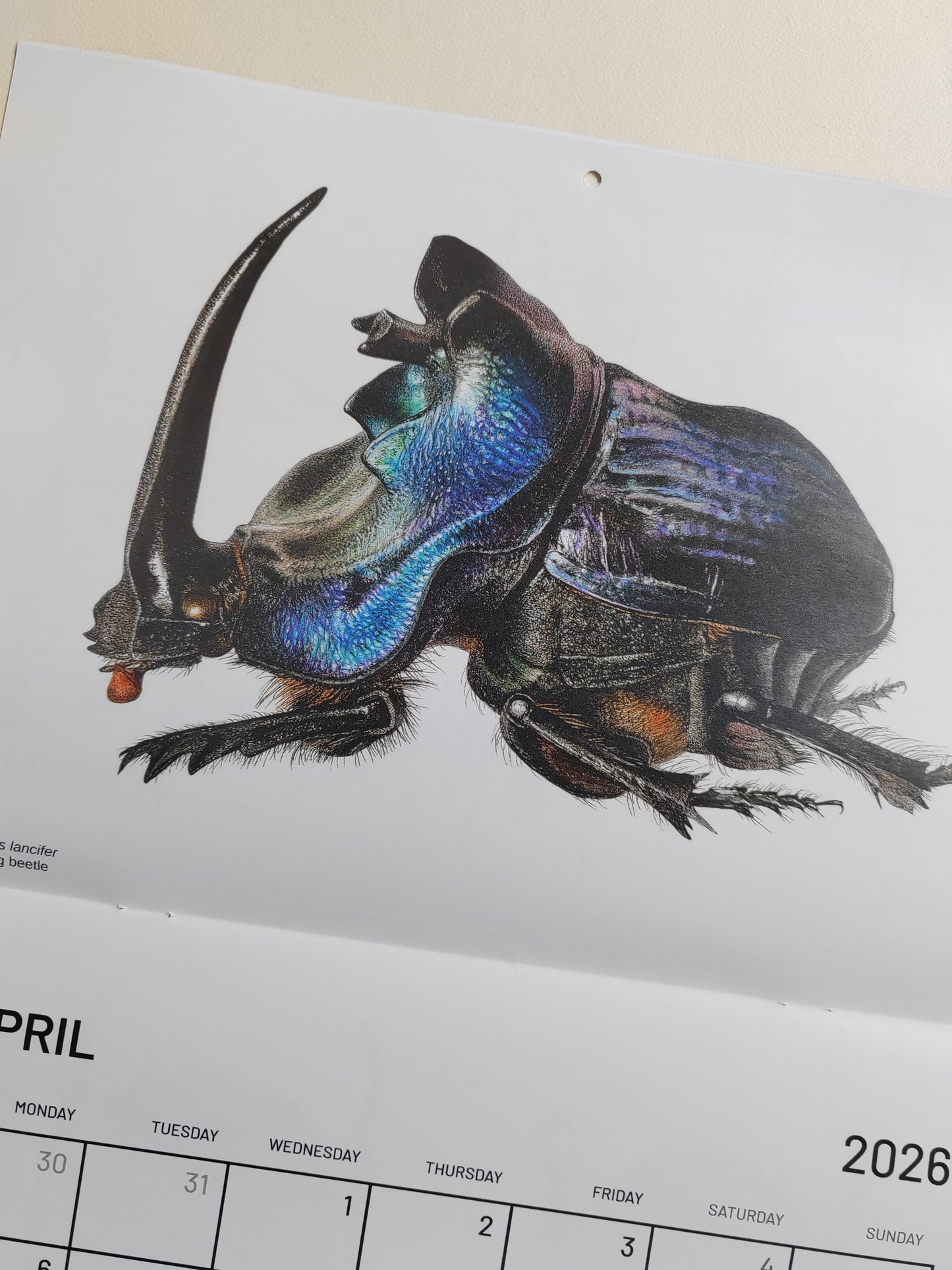 2026 Artwork Calendar